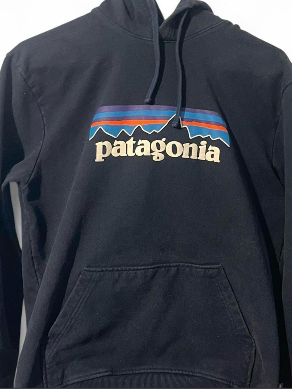 Patagonia Men's Navy Logo Hoodie - Black